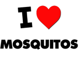 Discover I Love Mosquitos