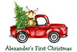 Discover Baby First Christmas Red Truck Tree Moose