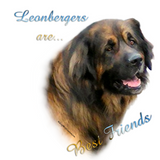 Discover Leonberger Best Friend 2