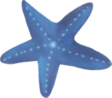 Discover Starfish Navy Blue Watercolor Nautical