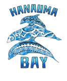 Discover Hanauma Bay Hawaii Vacation Tribal Dolphins