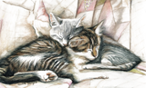 Discover "Sleeping Kittens" Cat Art T