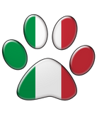Discover Italian patriotic cat