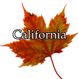 Discover CALIFORNIA FALL LEAF