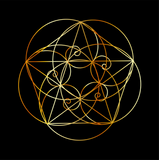 Discover Fibonacci Spiral- The sacred geometry