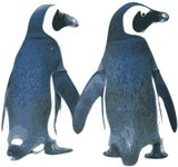Discover CUTE PENGUINS BABY