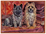 Discover 37b Two Cairn Terriers