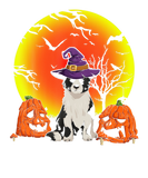 Discover Cute Border Collie Witch Halloween Costume Funny D