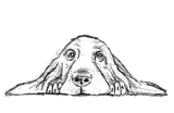 Discover basset hound black white simple puppy dog eyes  plus size
