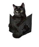 Discover Cat Lovers Gifts Black Cat In Pocket Funny Kitten