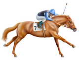 Discover Thoroughbred Racehorse