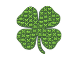 Discover Lucky Green Four Leaf Clover