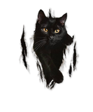 Discover Black Cat Yellow Eyes Owner Feline Art Kitten Love