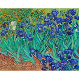Discover Irises (1889) by Vincent Van Gogh