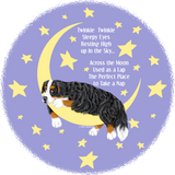 Discover Bernese Mountain Dog Twinkle