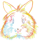 Discover Rabbit Gift | Colourful Bunny Lionhead Rabbit Sleeveless