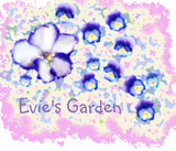 Discover Baby Tutu violet garden