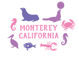 Discover Monterey Wildlife