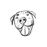 Discover hand drawn digital smiling pit bull