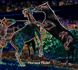 Discover Neon colorful horses rearing playing s