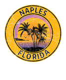 Discover Vintage Naples Florida Retro 70S 80S Tropical Beac