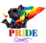 Discover Pride Party Dog in Rainbow Cape