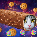 Discover Space cat inside an ice cream