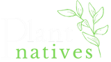 Discover Plant Natives