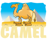 Discover Kid Friendly Camel