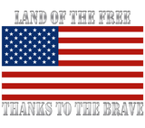 Discover Land Of The Free Thanks To The Brave US Flag