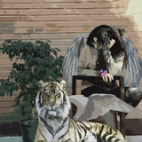 Discover beautiful angel beside the tiger