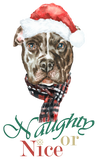 Discover Pit Bull Christmas