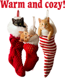 Discover Christmas Kittens in Stockings