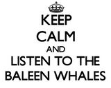 Discover Keep calm and Listen to the Baleen Whales