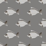 Discover 9335Grey Fishes