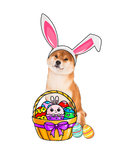Discover Easter Egg Funny Shiba Inu Easter
