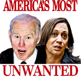 Discover Biden Harris America's Most Unwanted Confused