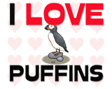Discover I Love Puffins
