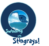 Discover Swim with Rays
