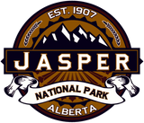Discover Jasper Vibrant Logo