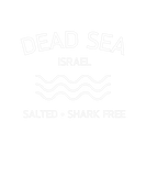 Discover Dead Sea Salted Shark Free Israel Travel Lowest Pl