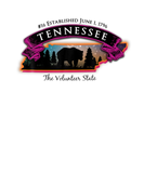 Discover Tennessee American Black Bear Night Sky Volunteer
