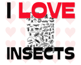 Discover I Love Insects
