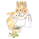 Discover 3 cute rabbits drinking soup Peter Rabbit