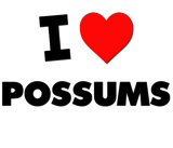 Discover I Love Possums