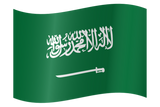 Discover Saudi Arabia Flag Plus Size