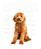 Discover Anatomy Of A Goldendoodle Funny Cute Dog Doodle Mo