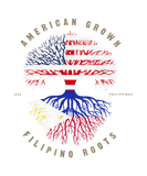 Discover American Grown Filipino Roots Philippines Flag T-S