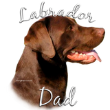 Discover Labrador Retriever (chocolate) Dad 2