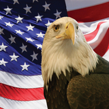 Discover American Bald Eagle and Flag Polo